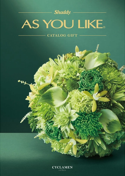 アズユーライク20,900円コース【洋風】